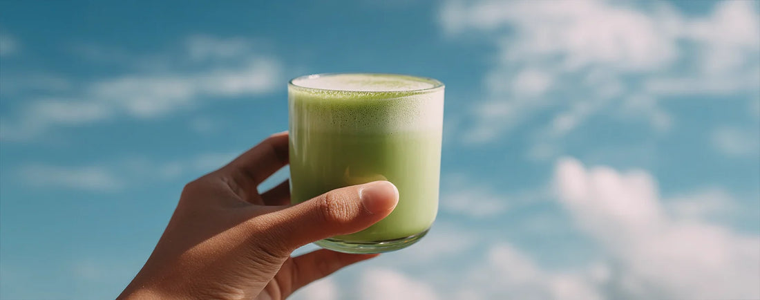 Mushroom Matcha: The Complete Guide to Benefits, Side Effects, and Finding Your Perfect Blend