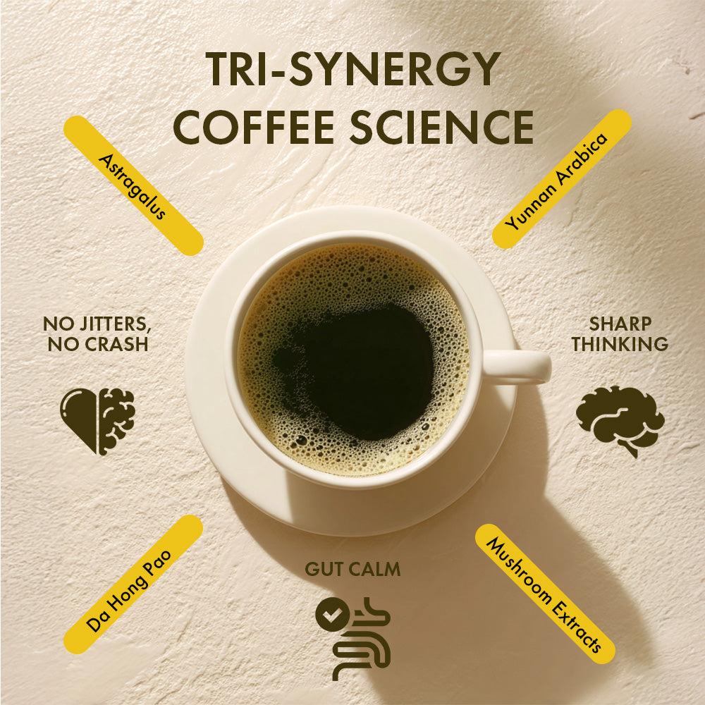 Herbloomz SUPERBA mushroom coffee infographic ā Yunnan Arabica, Da Hong Pao oolong tea, and adaptogenic mushrooms for steady focus without jitters