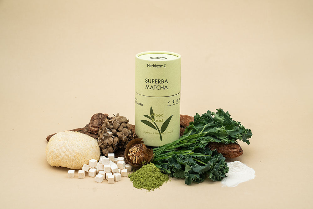 HerbloomZ SUPERBA MATCHA probiotic matcha ingredients - ceremonial grade matcha, adaptogenic mushrooms, kale supergreens, and monk fruit creating stress relief tea for cortisol supplement and gut health drink benefits