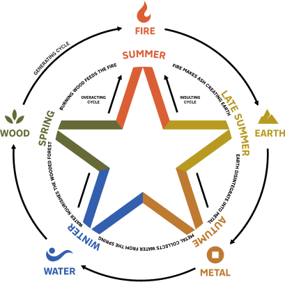 A diagram of the Five Elements theory (Wu Xing) from Traditional Chinese Medicine, illustrating the cycle of Wood (Spring), Fire (Summer), Earth (Late Summer), Metal (Autumn), and Water (Winter). This philosophy of natural balance is the foundation for HerbloomZ product rituals, which are designed to manage stress and restore the bodyās rhythm