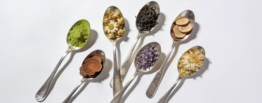 Best Calming Tea for Anxiety and Bloating