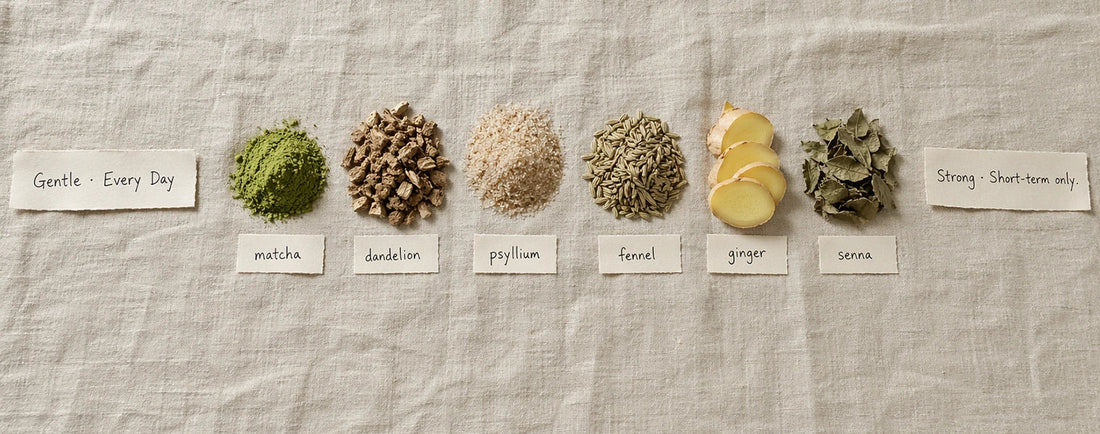 Best Tea for Constipation: 6 Options Ranked Gentle to Strong