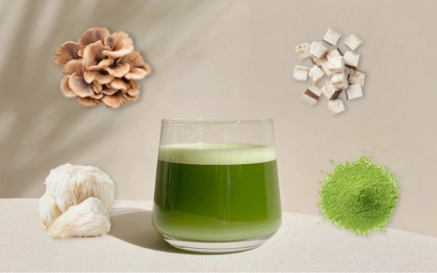 Mushroom Matcha: The Complete Guide to Benefits, Side Effects, and Finding Your Perfect Blend