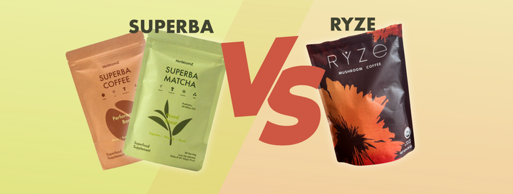 HerbloomZ vs. RYZE: A Better Mushroom Matcha & Coffee Alternative?