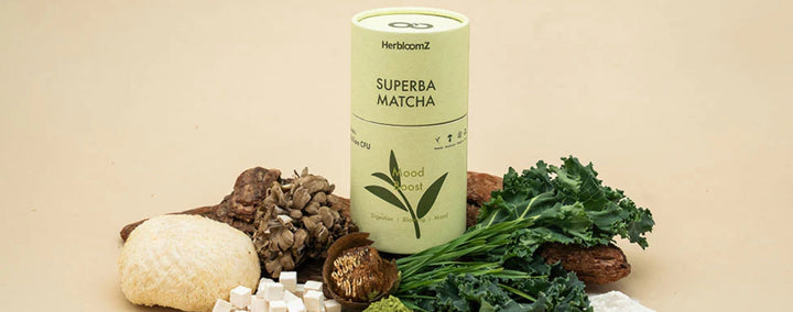 HerbloomZ SUPERBA MATCHA surrounded by functional ingredients (matcha, mushrooms, kale, psyllium) on a minimalist neutral background.
