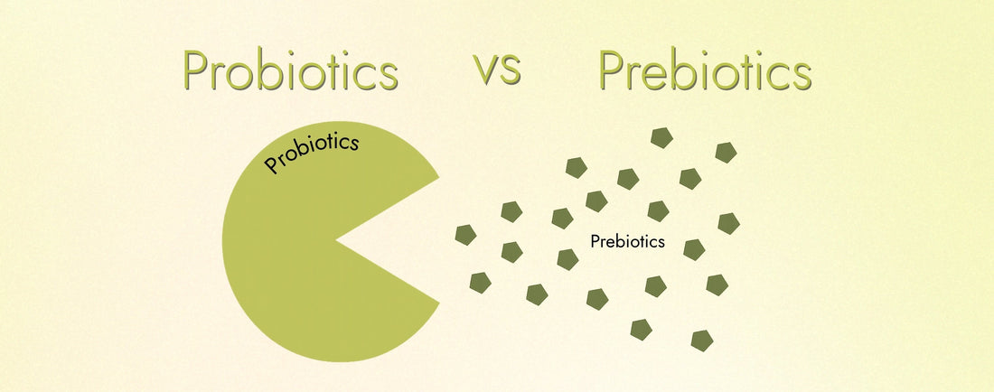 Prebiotic vs Probiotic: The Real Difference & Why Synbiotics Win