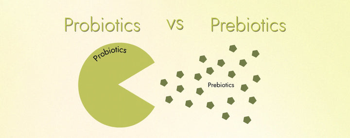Prebiotic vs Probiotic: The Real Difference & Why Synbiotics Win