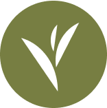 An icon representing 5,000+ years of Eastern herbal wisdom, the foundation for HerbloomZ's Traditional Chinese Medicine-based formulas for stress and balance