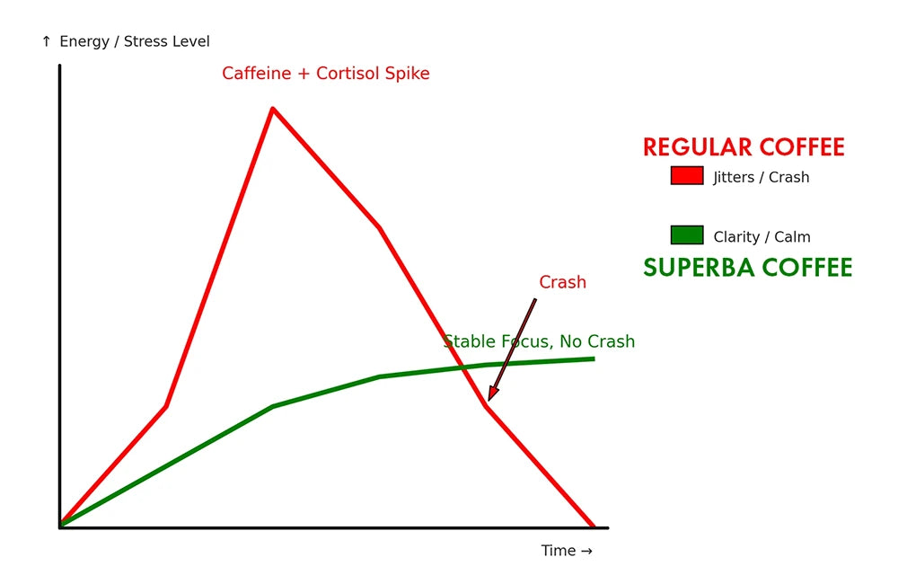 chart comparing regular coffee vs SUPERBA COFFEE — red line shows jitters and crash, green line shows stable focus without crash