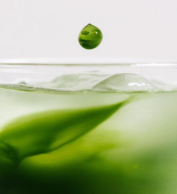 SUPERBA MATCHA CTA background