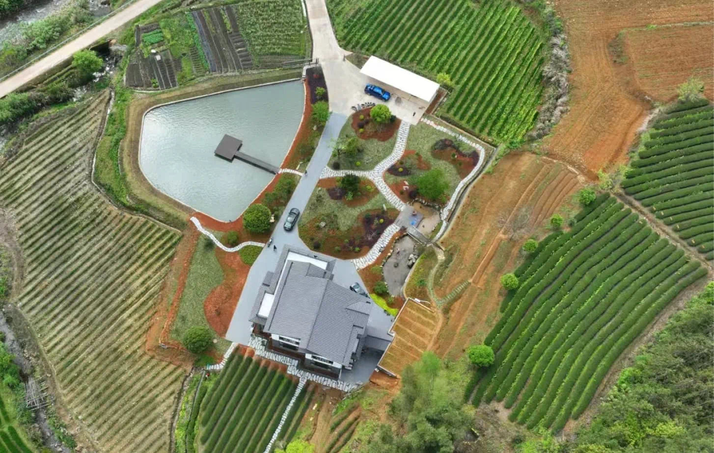 Aerial view of HerbloomZ’s sustainable tea garden in Wuyi Mountains, showing organic Da Hong Pao tea rows, a central house, and surrounding natural landscapes.