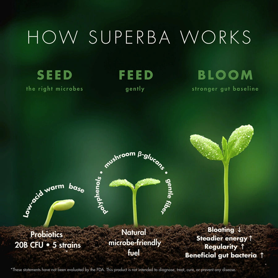 How superba matcha works—Seed (20B CFU, 5 strains) • Feed (polyphenols, mushroom β-glucans, gentle fiber) • Bloom (less bloat, supports regularity, calmer mornings, supports beneficial bacteria)