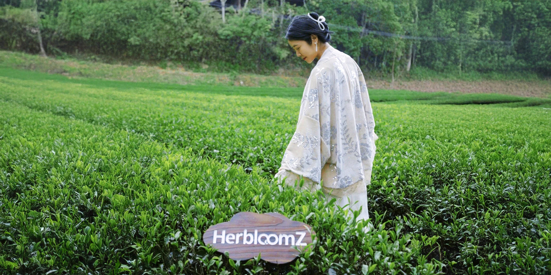 HerbloomZ founder May Hu in family tea garden inspecting ceremonial matcha leaves, reflecting transparent sourcing