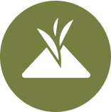 HerbloomZ 30–60 minute morning relief badge