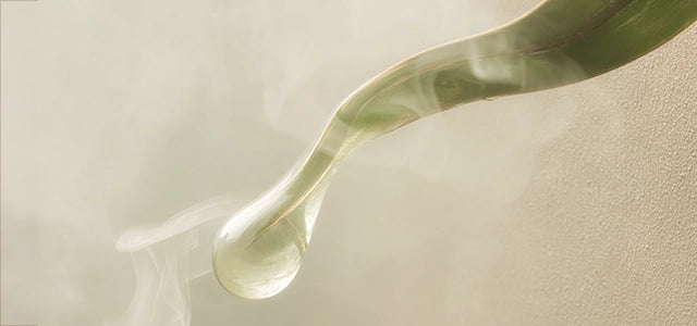 Close-up of bamboo leaf with water droplet and rising steam, symbolizing the Wood and Water ritual of the SUPERBA Matcha Set for daily calm and rhythm.
