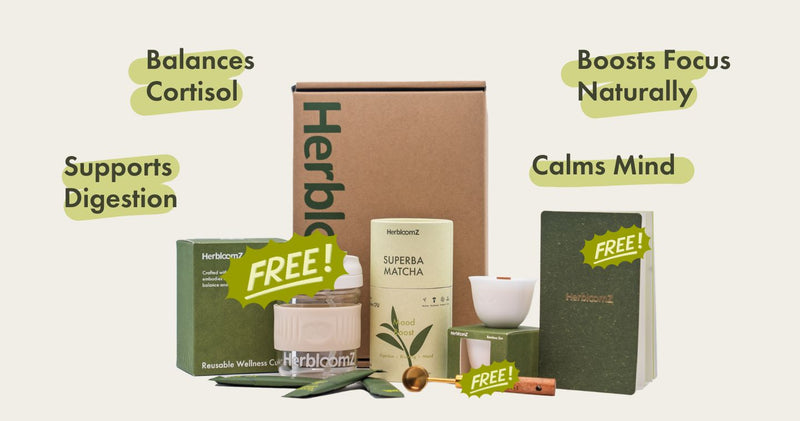 The HerbloomZ SUPERBA Matcha Set presented as a value bundle, highlighting the savings on the probiotic matcha, Wellness Cup, and Bamboo Zen candle