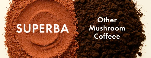 Texture comparison of SUPERBA COFFEE smooth powder vs other mushroom coffee clumpy dark powder, showing cleaner quality