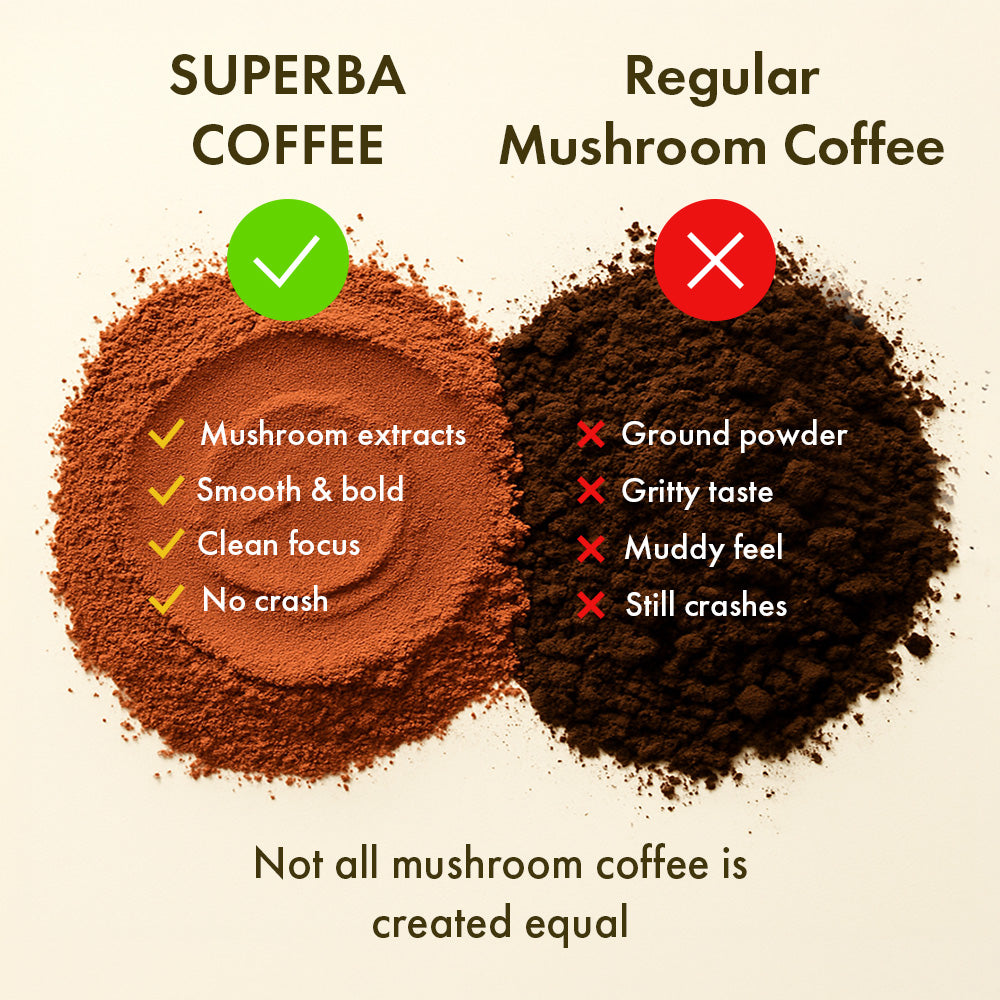 Comparison of HERBLOOMZ SUPERBA mushroom coffee with oolong tea — smooth clean powder and no crash vs regular mushroom coffee gritty texture