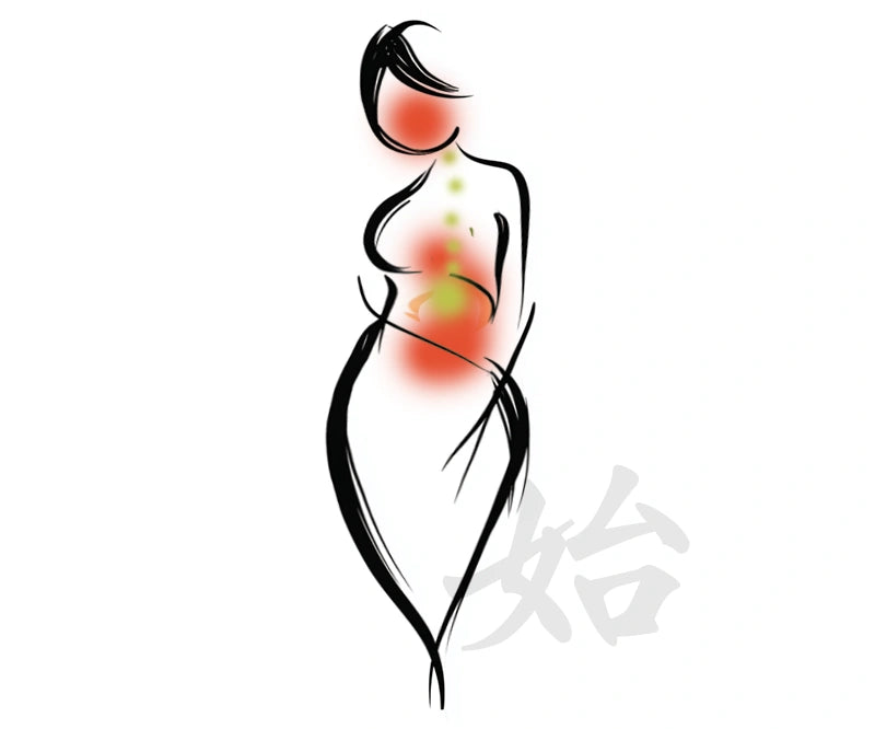 Calm Focus + Belly Relief*